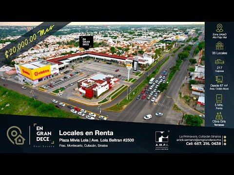 Previsualización del video