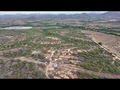Previsualización de video