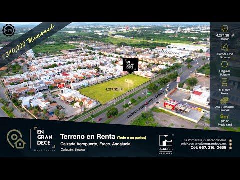 Previsualización de video