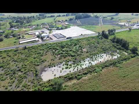 Previsualización del video