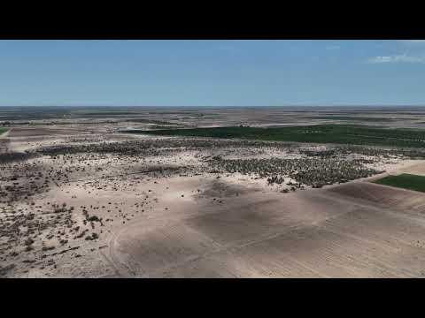 Previsualización de video