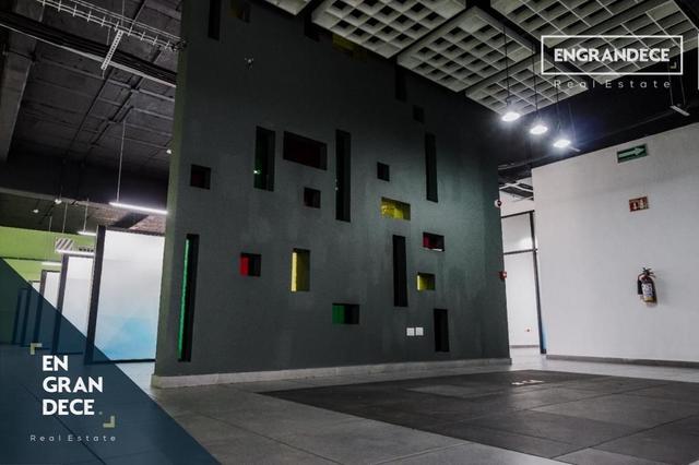 Foto de la galeria de imagenes