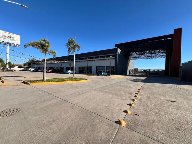 Foto de la galeria de imagenes