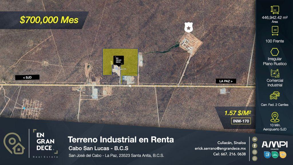 Foto de la galeria de imagenes