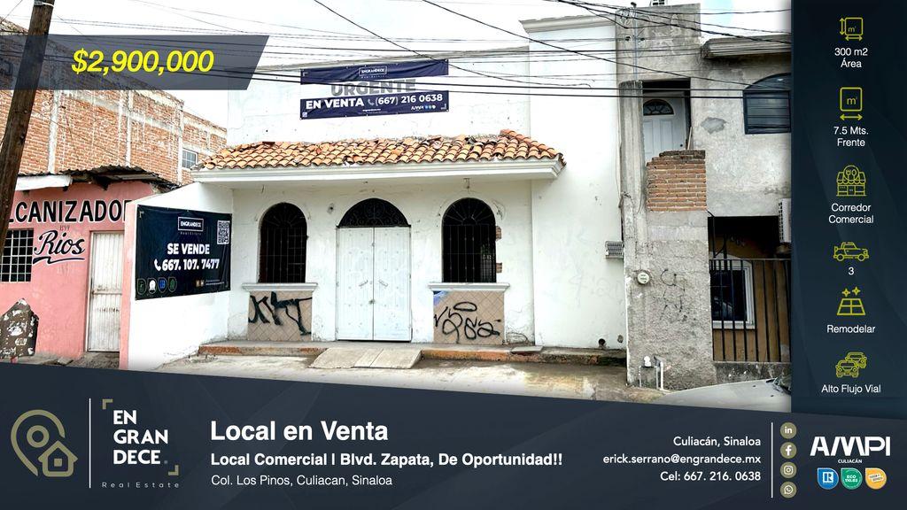Foto de la galeria de imagenes