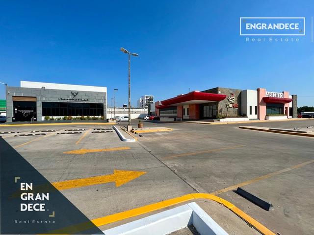 Foto de la galeria de imagenes