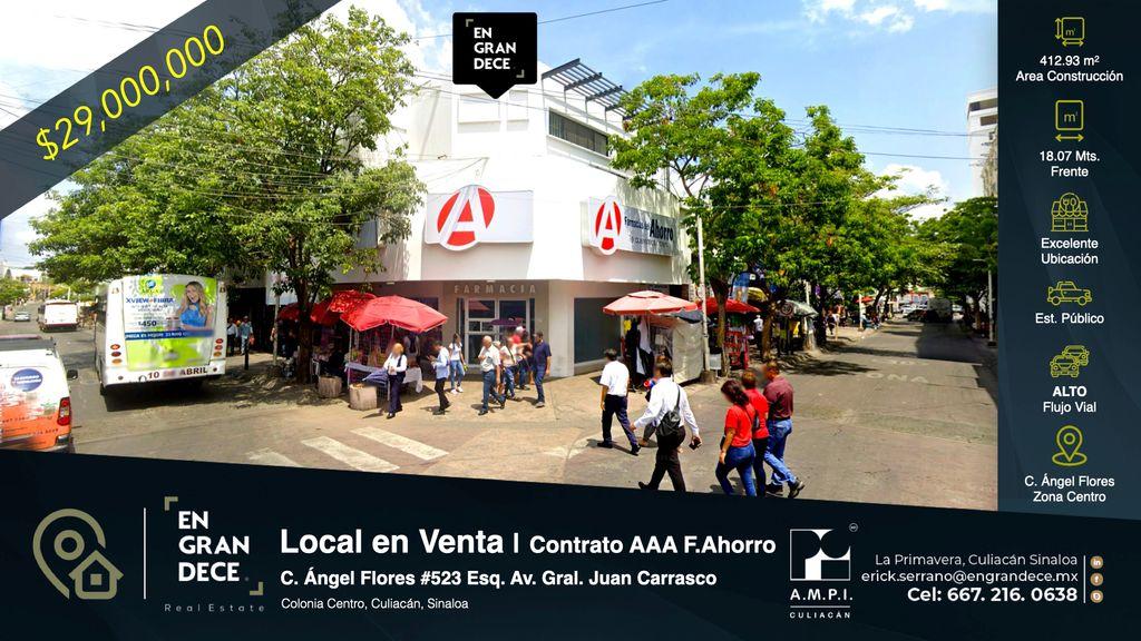 Foto de la galeria de imagenes