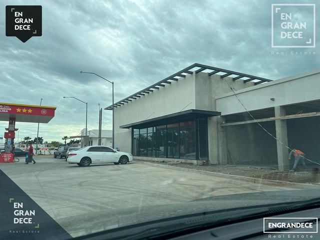 Foto de la galeria de imagenes