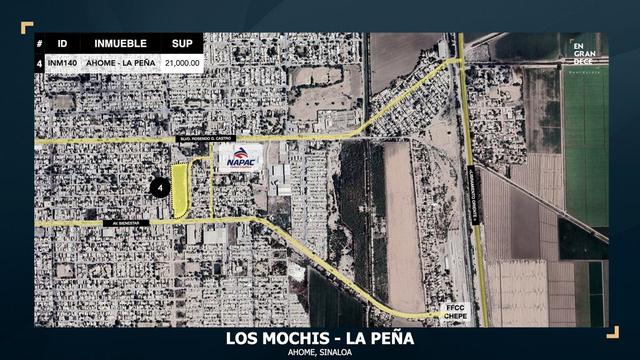 Foto de la galeria de imagenes