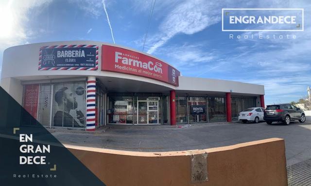 Foto de la galeria de imagenes
