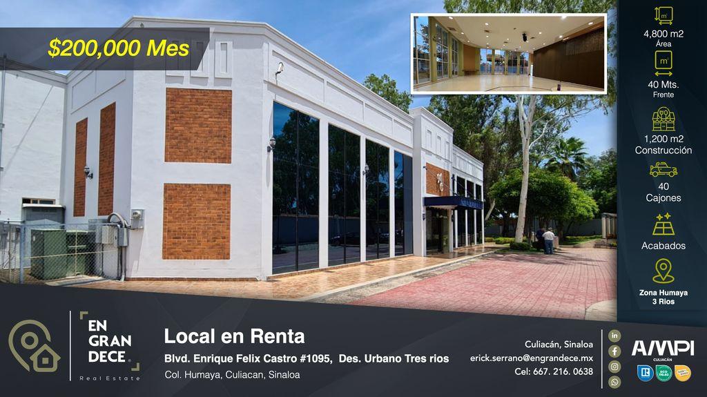 Foto de la galeria de imagenes