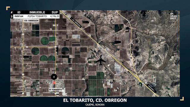 Foto de la galeria de imagenes