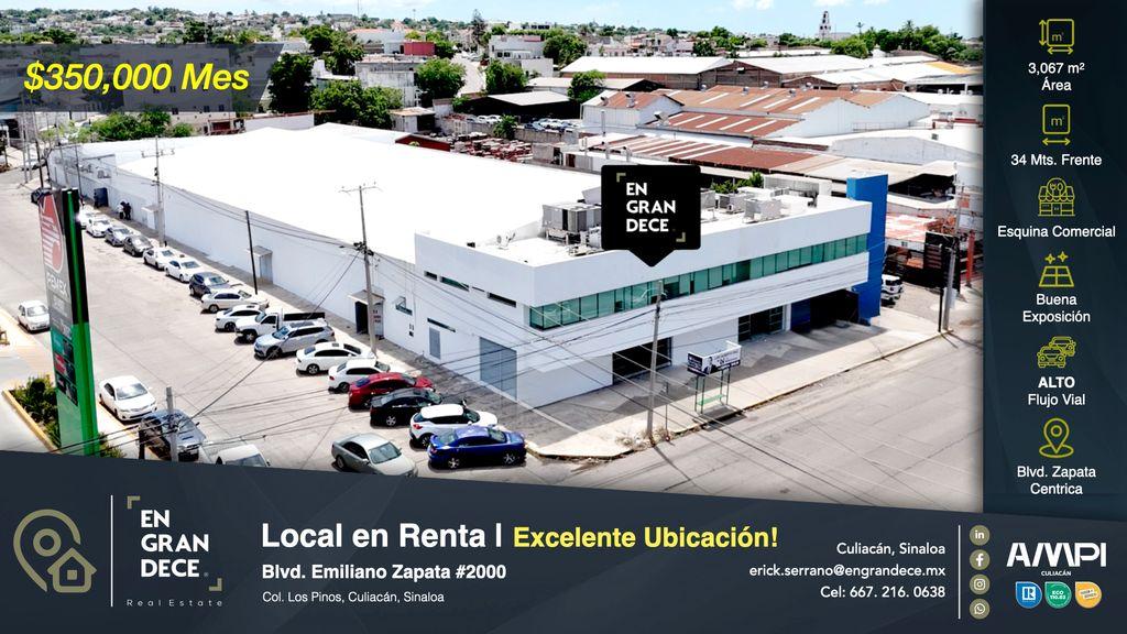 Foto de la galeria de imagenes